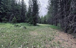 58 Bugling Elk Lane, Weippe, ID 83553