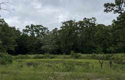 Rs County Road 3360, Emory, TX 75440
