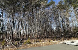 Pierce Denny Road, Liberty, NC 27298