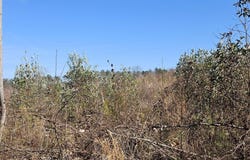 0 Lot 1 COUNTY ROAD 36 lot: 1, RANDOLPH, AL 36792