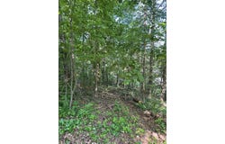 6900 Spinmaker Cove, Ooltewah, TN 37363