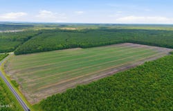 Florence Road, Merritt, NC 28556