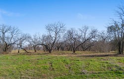 8424 Edgewater Dr, Kemp, TX 75143