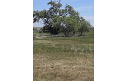 W 9th Street, Oelrichs, SD 57763