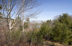 P/O 4-1 Cameron Point Road, Southport, ME 04576