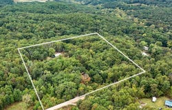 261 Wintergrape Lane, Rogersville, MO 65742