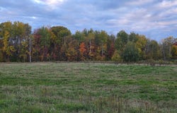8250 Hawk Ridge Road, Grasston, MN 55030