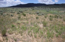 Shirley Drive lot: 10, Questa, NM 87556
