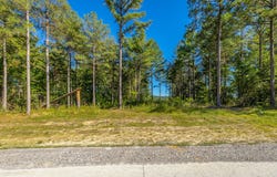Split Rail Way lot: 1372, Guild, TN 37340