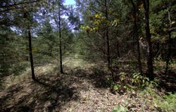 Tract 2&3 Simpson Rd, Urbana, MO 65767