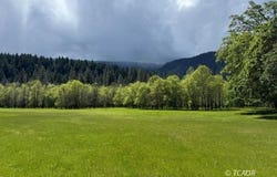 8480 St John Road, Hyampom, CA 96046