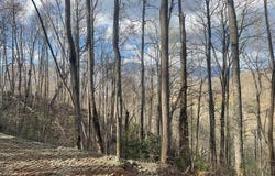 Copperhead Cove lot: 4, Sylva, NC 28779