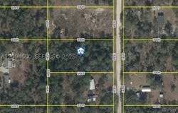142 Terrace, Williston, FL 32696