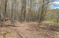 L25 Fuller District Road, Jefferson, NY 12093
