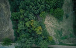 Herl Road, Bronson, MI 49028