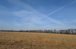 FM 44, Annona, TX 75550
