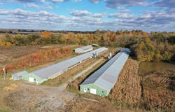 Grubbs Road, Clinton, KY 42031