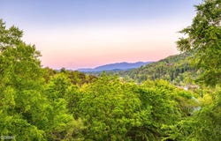 3301 Kestrel Way, Pigeon Forge, TN 37863