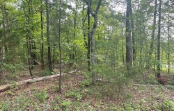 8 Faisan Circle, Hot Springs Village, AR 71909