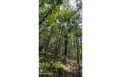 Jacobs Ladder Rd lot: 9, Becket, MA 01223