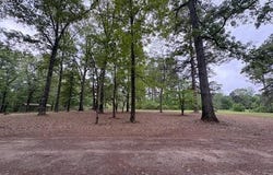 801 Nevada 49, Buckner, AR 71827