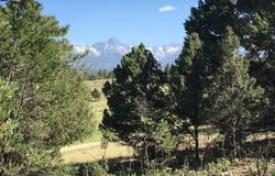 294 Marmot Drive, Ridgway, CO 81432