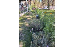 9045 Ground Squirrel Drive, Bonanza, OR 97623