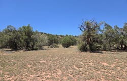 236 W Kings Ranch Road, Ash Fork, AZ 86320
