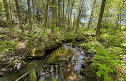 Morrison Brook Acres lot: 10, Oakfield, ME 04763