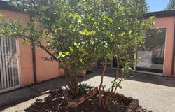 251 Aurora Avenue, Davis, CA 95616