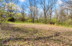 Meriwether Pond lot: 4, Harrison, AR 72601