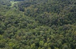 Wolfpen Run Road, Cox Mills, WV 26187