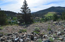 216 ELKVIEW Dr, CanyonCity, OR 97820