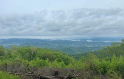 Honeysuckle Rd, Elliston, VA 24087