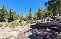 Haight Mountain, Macdoel, CA 96058