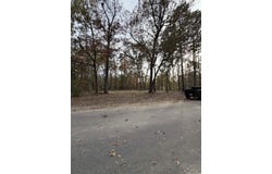 292 Pineneedle Circle, Johnsonville, SC 29555