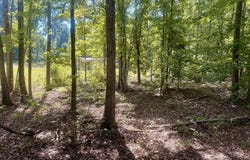Watson Blvd lot: 12, Meherrin, VA 23954