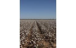 740 Sun Road, Plainview, TX 79072