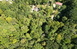 White St, Rockwood, TN 37854