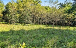 Hoshel Road, Three Rivers, MI 49093
