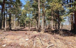 TBD Black Creek Road, Skanee, MI 49962