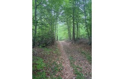 16921 Batestown Rd, Dumfries, VA 22025