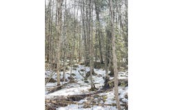 Hollow Road, Barton, VT 05822