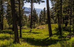 87 Rock Ridge Way, Bigfork, MT 59911