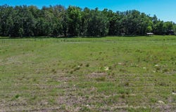 NE 758th St, Old Town, FL 32680