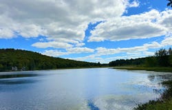 76 S Shore Road, Pleasant Mount, PA 18453