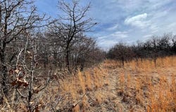 Lot 9 Toad Road, Harrah, OK 73045