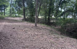 CR 1503, Alba, TX 75410