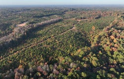 Mabelvale, AR 72103