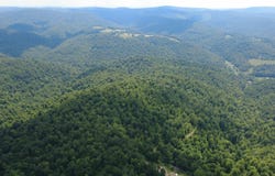 SALTLICK Road, Terra Alta, WV 26764